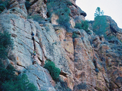 Pinnacles National Park