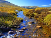 Arapahoe National Forest, Colorado