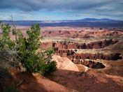 Canyonlands Natonal Park
