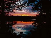 Superior National Forest
