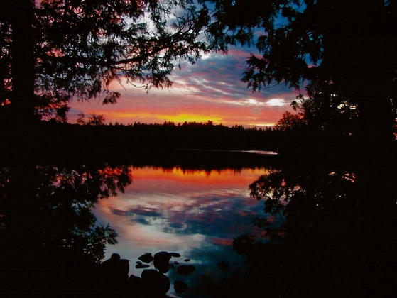 Superior National Forest