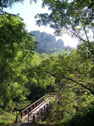 Monongahela National Forest, WV