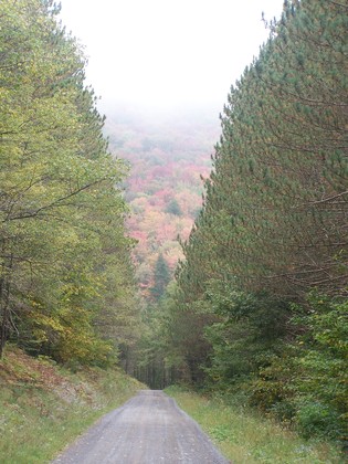 Monongahela National Forest WV