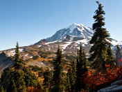 Mount Rainier National Park
