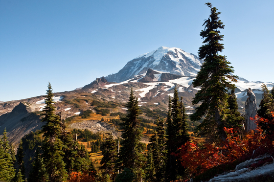 Mount Rainier National Park