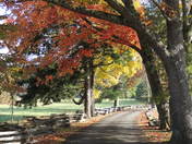Smoky Mountain National Park
