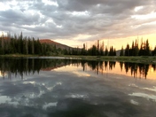 Manti LaSal National Forest