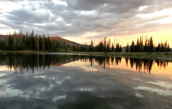 Manti LaSal National Forest