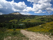 Manti LaSal National Forest