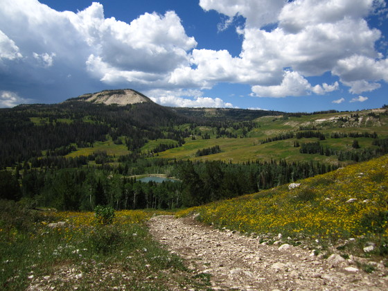 Manti LaSal National Forest