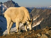 North Cascades National Park