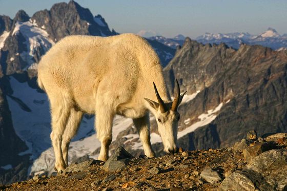 North Cascades National Park