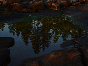 Acadia National Park