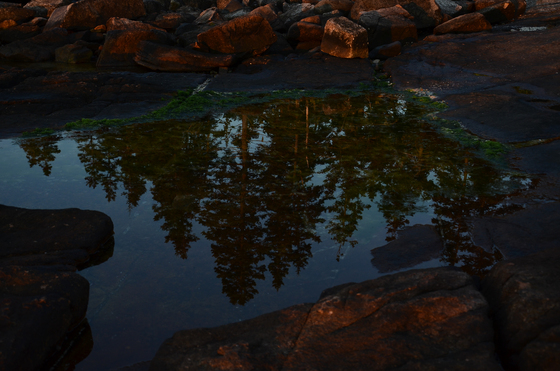 Acadia National Park