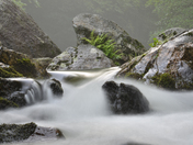 Pisgah National Forest