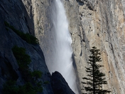 Yosemite National Park