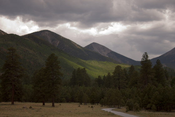 Locketts Meadow Campground