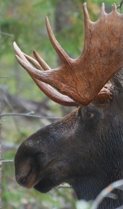 Arapaho National Recreation Area