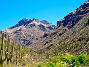 Saguaro National Park