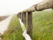 Fence in the Fog