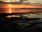Jamaica Bay Wildlife Refuge