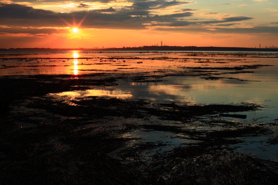 Jamaica Bay Wildlife Refuge
