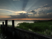 Jamaica Bay Wildlife Refuge