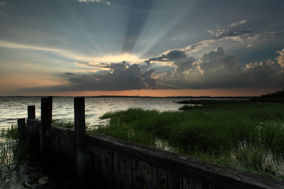 Jamaica Bay Wildlife Refuge