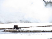 Yellowstone National Park