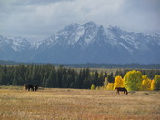 Grand Teton National Park