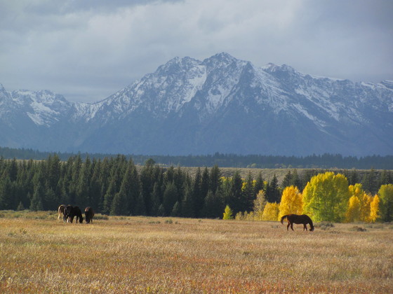 Grand Teton National Park