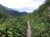 Glacier National Park