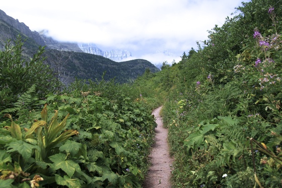 Glacier National Park