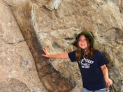 Dinosaur National Monument