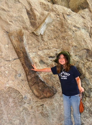 Dinosaur National Monument