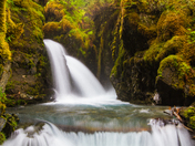 U.S. Forest Service