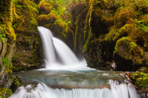 U.S. Forest Service