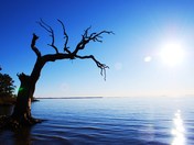 Cape Hatteras National Seashore