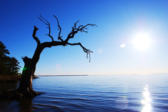 Cape Hatteras National Seashore