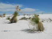 White Sands National Monument