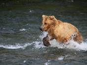 Katmai National Park