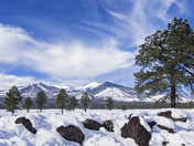 Coconino National Forest