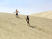 OREGON DUNES NATIONAL RECREATION AREA / Siuslaw National Forest 
