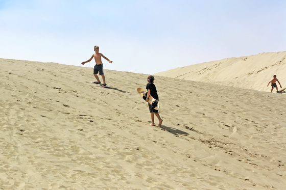 OREGON DUNES NATIONAL RECREATION AREA / Siuslaw National Forest 