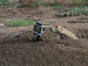 Wichita Mountains Wildlife Refuge