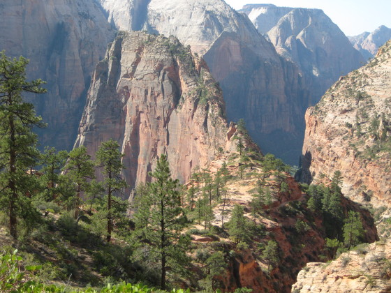 Zion National Park