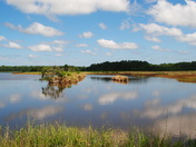 ACE Basin
