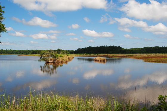 ACE Basin