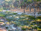 Cape Cod National Sea Shore
