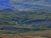 Denali National Park